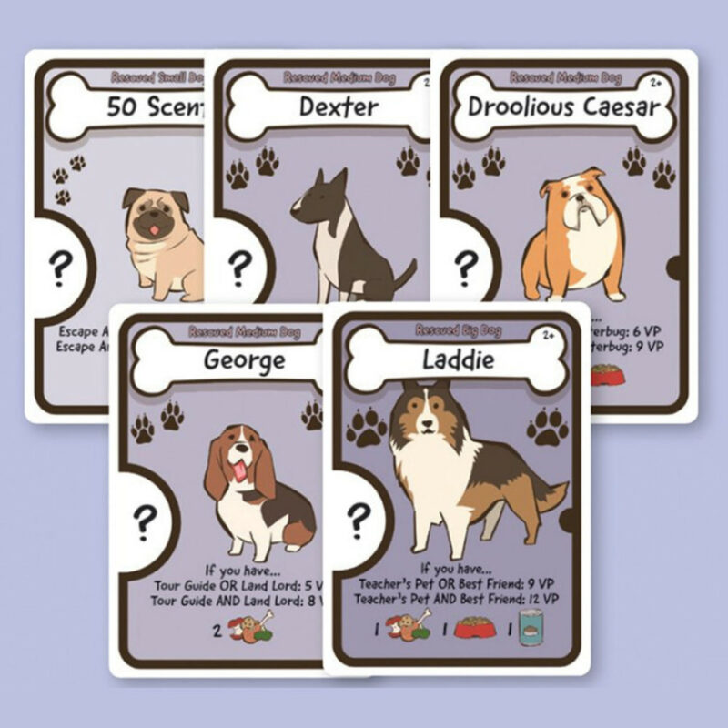 Dog Lover